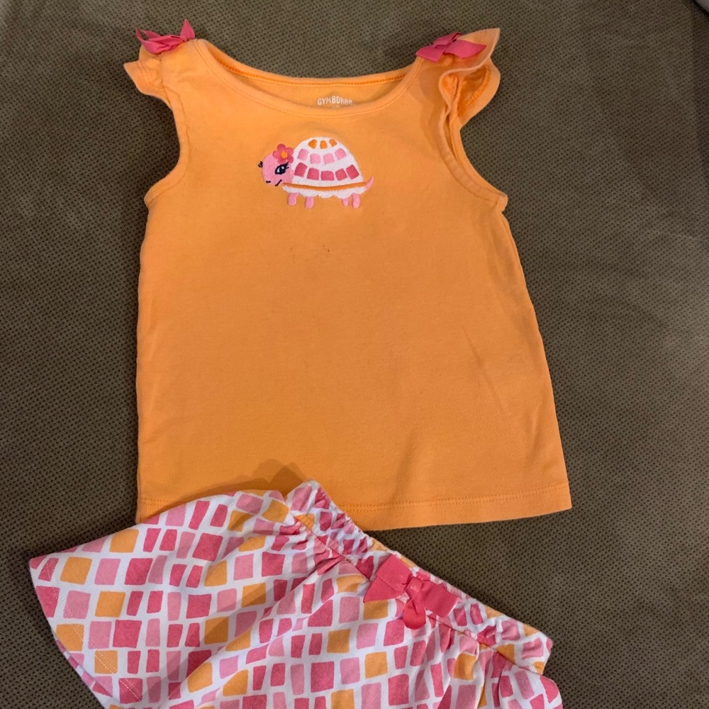 Gymboree Toddler girls outfit